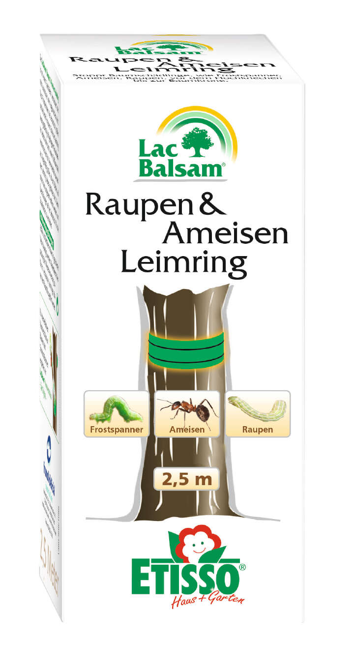 ETISSO Lac Balsam Raupen & Ameisen Leimring